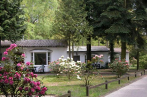  Ferienresort Damerow  Козеров